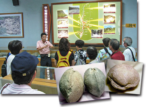 甲仙化石館館藏豐富，吸引許多遊客造訪。（圖/高雄歷史博物館、石頭ㄚm的化石 提供）