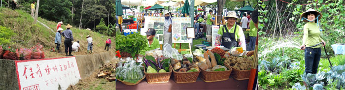 「互助農場」輔導居民栽種有機蔬果，打開了微風市集的銷售通路。(圖／內門木柵教會 提供)