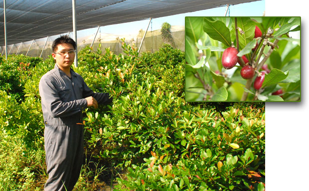 蕭旦倫繼承神秘果園，將銷售果苗轉型為生技研發。（圖∕張簡英豪 攝、一鳴生技 提供）