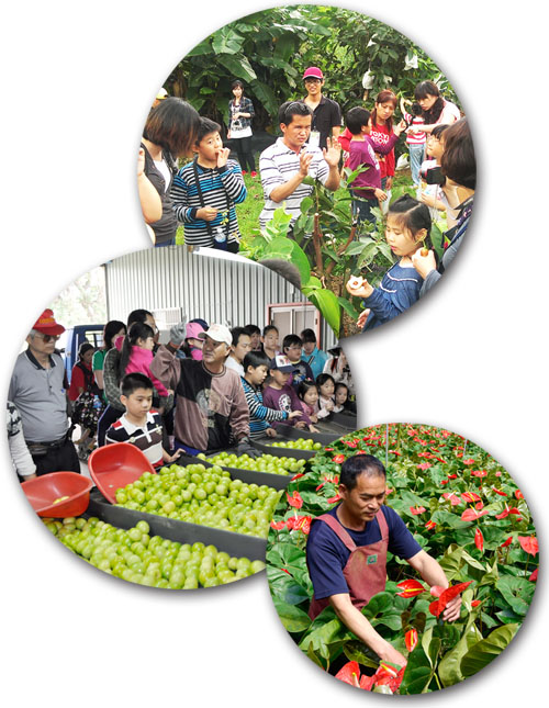 一日農夫活動可體驗高雄的水果、花卉等各式農業經濟。（圖∕高雄市政府農業局 提供‧張簡英豪 攝）