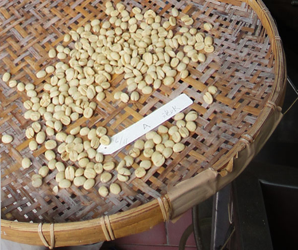 薛彥成自己種植烘焙的咖啡擁有許多忠實客戶。（圖∕張筧 攝）