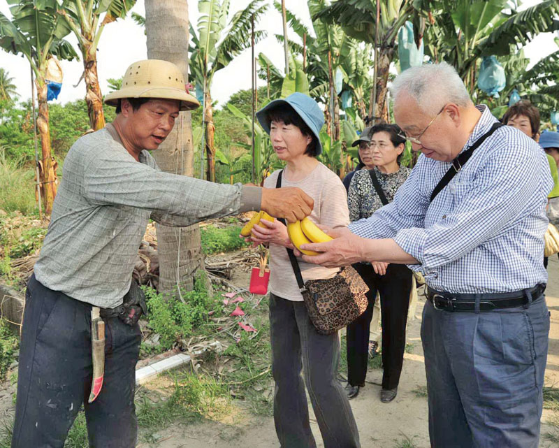品嚐香蕉 Tourists getting the opportunity to sample the bananas