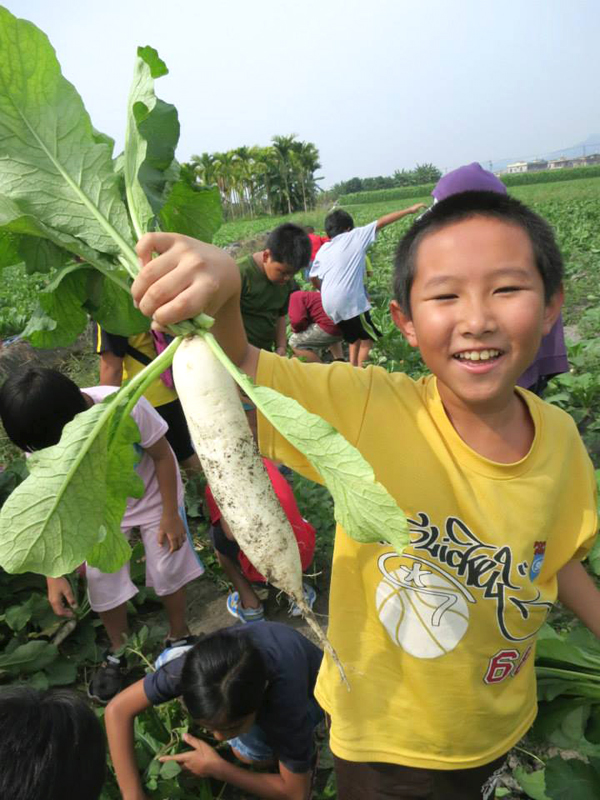 屏東海山社區的小朋友到美濃體驗拔蘿蔔（圖∕野上野下　提供）