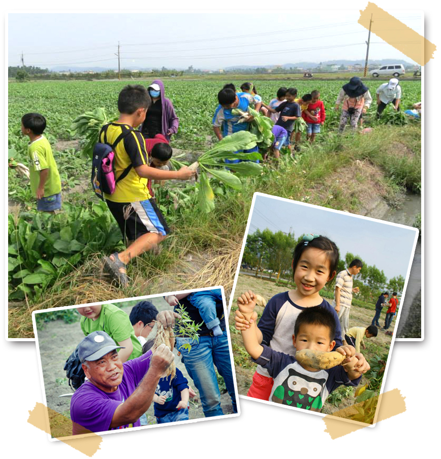 野上野下與農民合作辦理農作採收體驗活動，遊客反應熱烈。。（圖∕野上野下　提供）