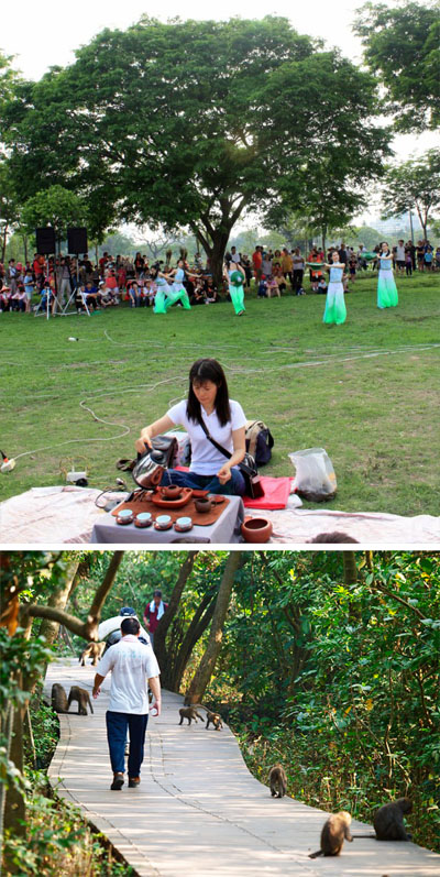 高雄綠色協會與柴山會分別促成了衛武營公園(上)與壽山國家自然公園的成立。（圖∕綠色協會 提供‧張簡英豪 攝）