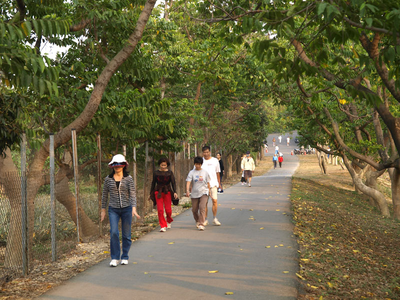 鳳山熱帶園藝試驗所是市民休閒運動的好場所。（圖∕張簡英豪 攝）