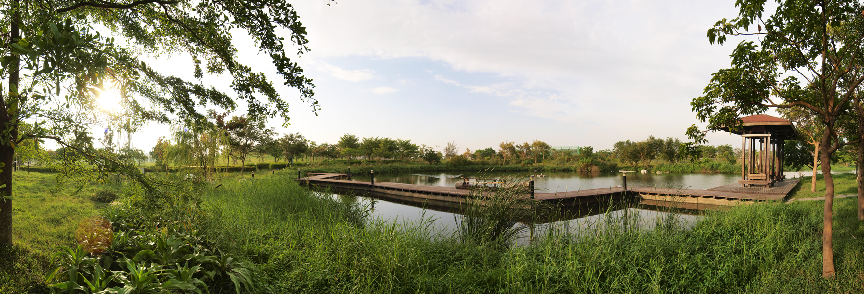 高雄大學的生態池營造適合物種繁衍的濕地生態。（圖∕張簡英豪 攝）