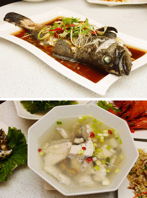 高雄永安養殖的高檔食材石斑魚不論清蒸或煮湯都可吃出鮮甜細緻的肉質。（圖∕張簡英豪 攝）