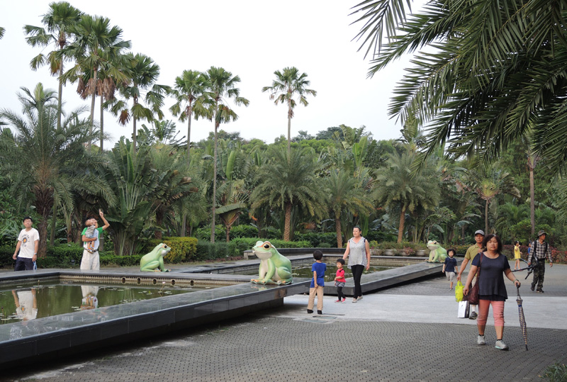 大坪頂熱帶植物園生態豐富適合全家親子遊憩。（圖∕徐世雄 攝）