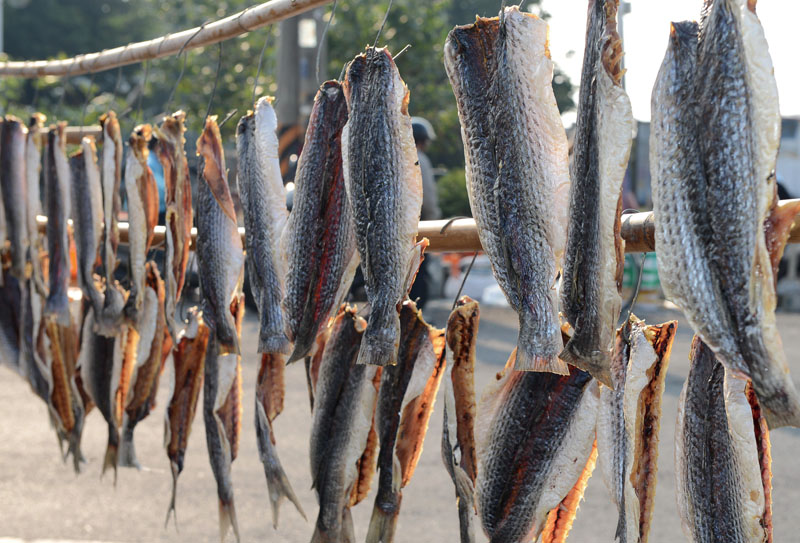 晒烏魚干 Drying mullet fish