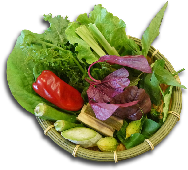 蔬食野菜，是炙熱夏天裡適合增進食慾的養生食材。（圖∕李昀諭　攝）