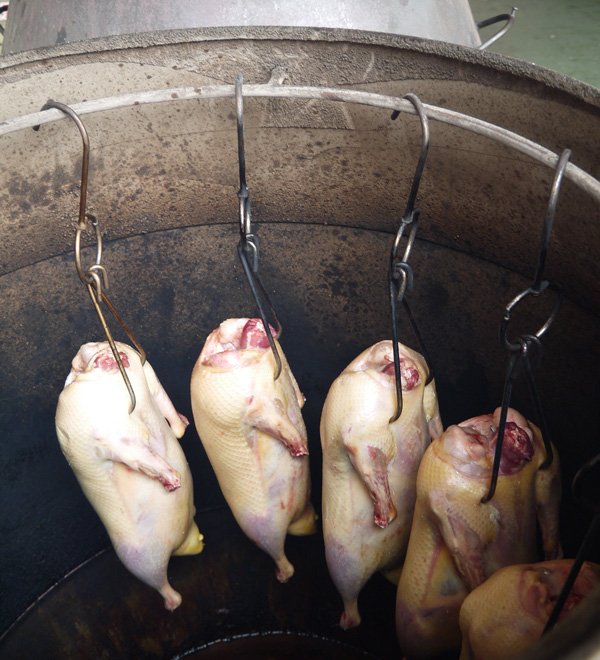 鴨隻以龍眼木製成的木炭烘烤，出爐後炭香與果香交織。（圖∕李昀諭 攝）