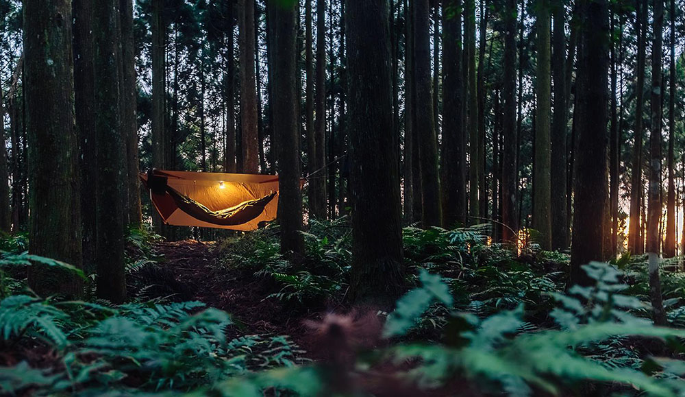 吊床露營懸掛於樹林間，一帳一世界。（Steven‧提供）