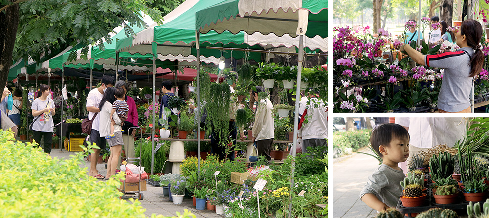 左：勞工公園假日花市。右上：民眾於專賣蘭花的攤位上，認真地比對與挑選。右下：連小朋友都對認識花草感到興趣。（Eric‧攝影）