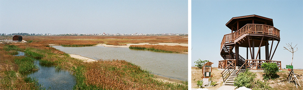 左：溼地風景   右：賞鳥樓（攝影／畝嘰斗）