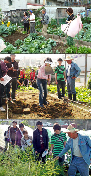 北區銀髮農園不定期舉辦講習和研討，共同增進耕種技巧。(圖/濟興長青基金會 提供)