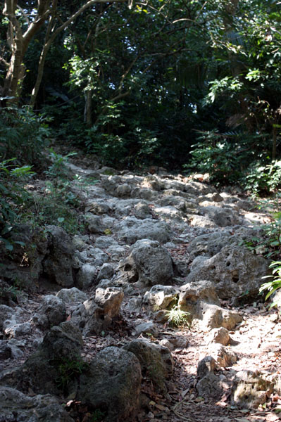 珊瑚礁石灰岩地是壽山國家自然公園的重要景觀。(圖/熊宏輝攝)