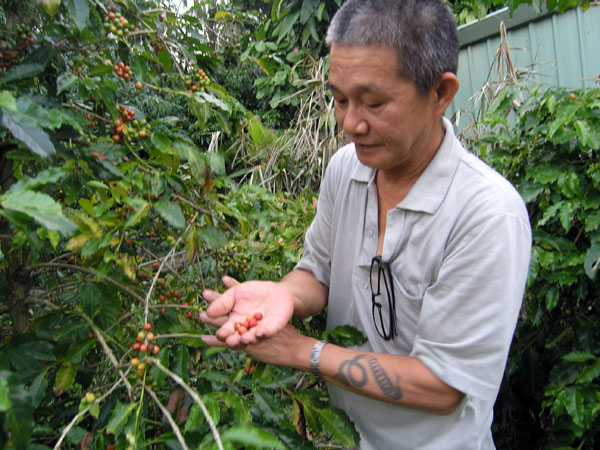 經過老闆洪志昌的不斷嘗試，終研發出屬於高雄的有機咖啡豆。(圖/劉怡伶攝)