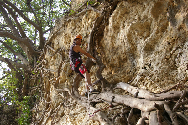 攀岩活動能同時訓練智力、體力和技巧，是對身心平衡發展的運動