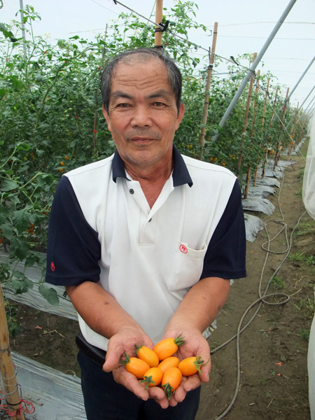 果農林永恭先生(左圖)培植的橙蜜香蕃茄入口後滋味多變，令人想一吃再吃。(圖/方昭禪攝)