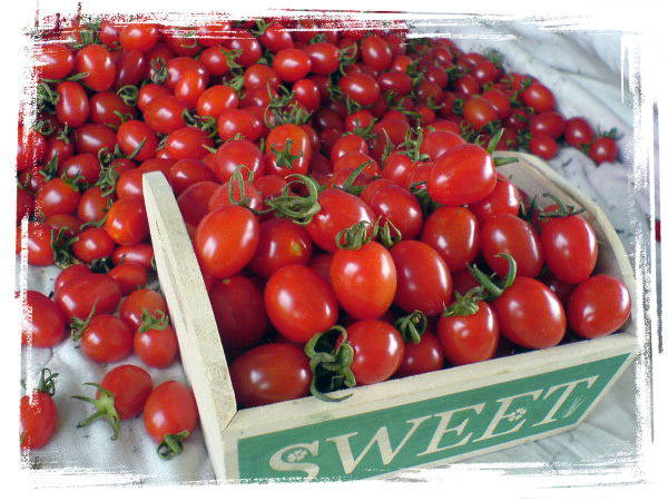 透過網路行銷方式，路竹番茄成功銷售至台灣各地。(圖/禾旺精緻蔬果農園提供)