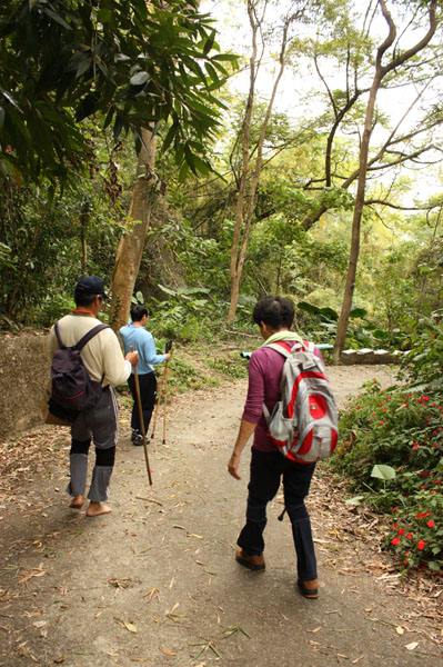 美濃靈山步道是當地熱門的山林步道。(圖/ Anita 攝)