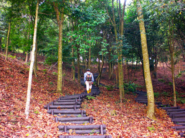 甲仙六義山登山步道以自然工法鋪設仿木紋樁。 (圖/南橫三星JSP區域聯盟 提供)