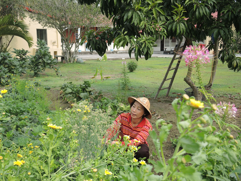 旗山三合院民宿主人提供大片有機菜園讓客人體驗正港農村生活。（圖∕徐世雄 攝）