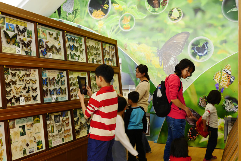 蝴蝶園裡的標本館收集來自世界各地的蝴蝶適合親子戶外教學。（圖∕張簡英豪 攝）