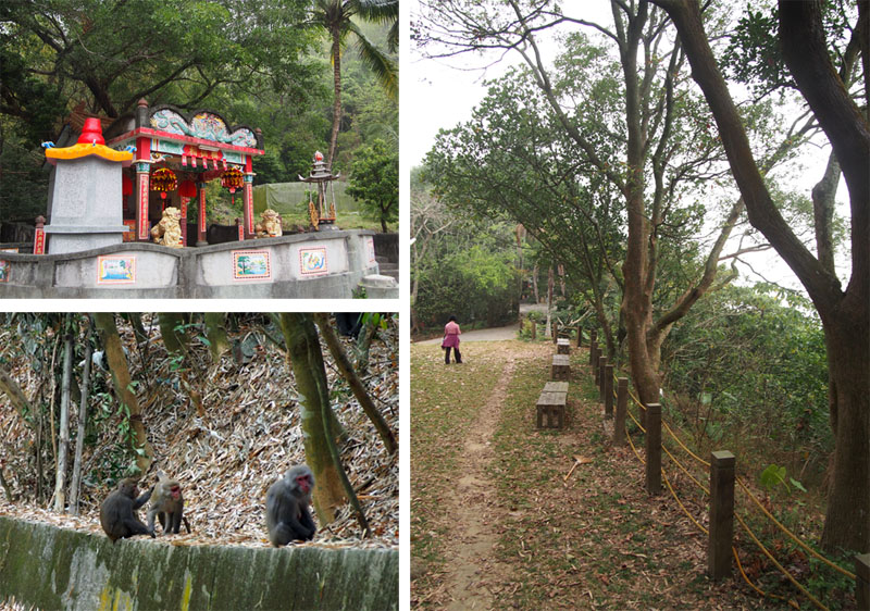 靈山步道路徑開闊，適宜全家大小健行，還可能遇上台灣獼猴。（圖∕張筧 攝）