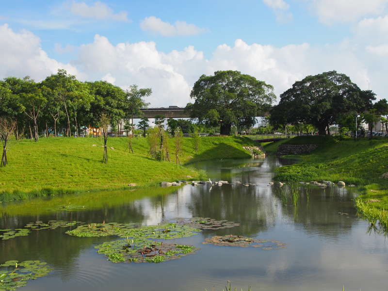 綠意盎然的保安濕地公園獲2014年高雄市建築園冶獎肯定。（圖∕張筧 攝）
