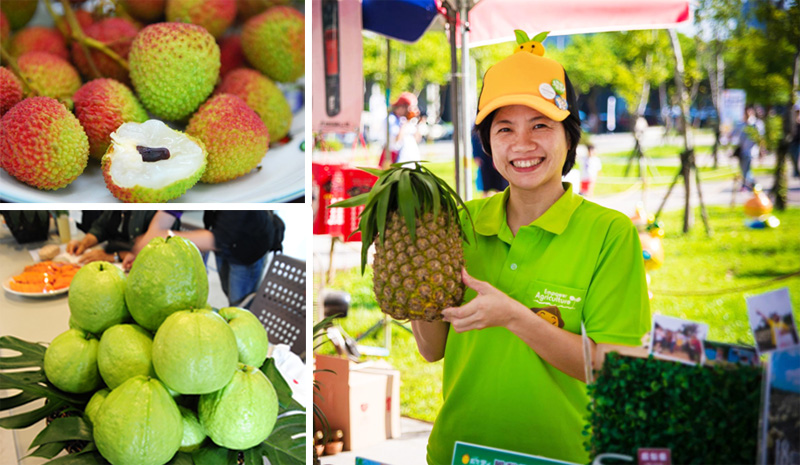 高雄市政府利用水果盛產季節舉辦一日農夫遊程，拉近消費者與農產的距離。（圖高雄市政府農業局 提供‧∕鮑忠暉 攝）