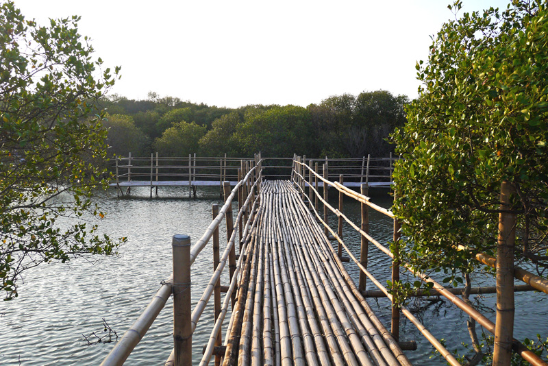 濕地生態物種豐富，整建後的林園區公12海洋濕地公園有助提升觀光發展。（圖∕李昀諭 攝）