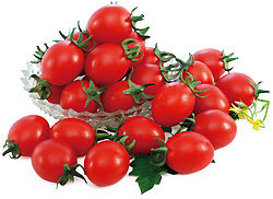 路竹區是嘉南平原以南最大的番茄產地。（圖∕路竹區公所　提供）