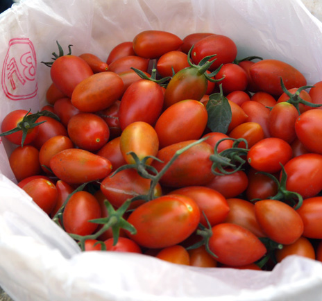 路竹區是嘉南平原以南最大的番茄產地，番茄品質優良，鮮甜多汁。(圖∕李昀諭　攝)