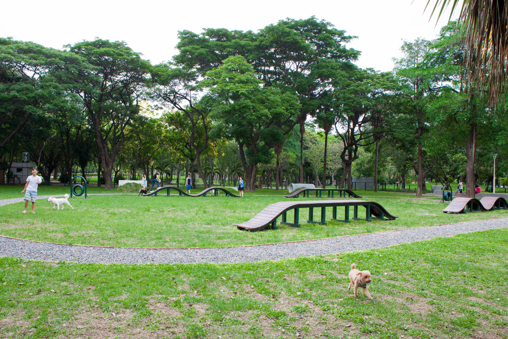 「狗狗運動公園」，依照狗狗的生活習性設計多種遊樂設施。（圖/高志宏 攝）