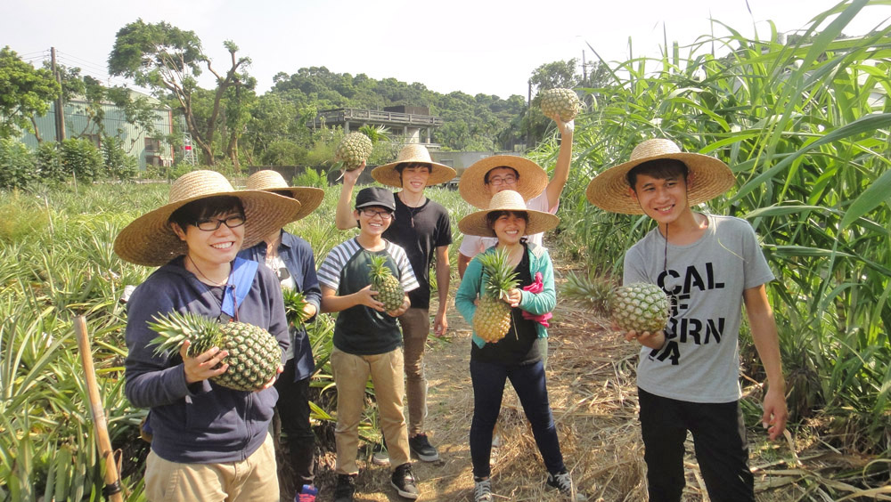 一日農夫的遊程，成功吸引許多年青背包客參與。（圖/龍目社區發展協會 提供）