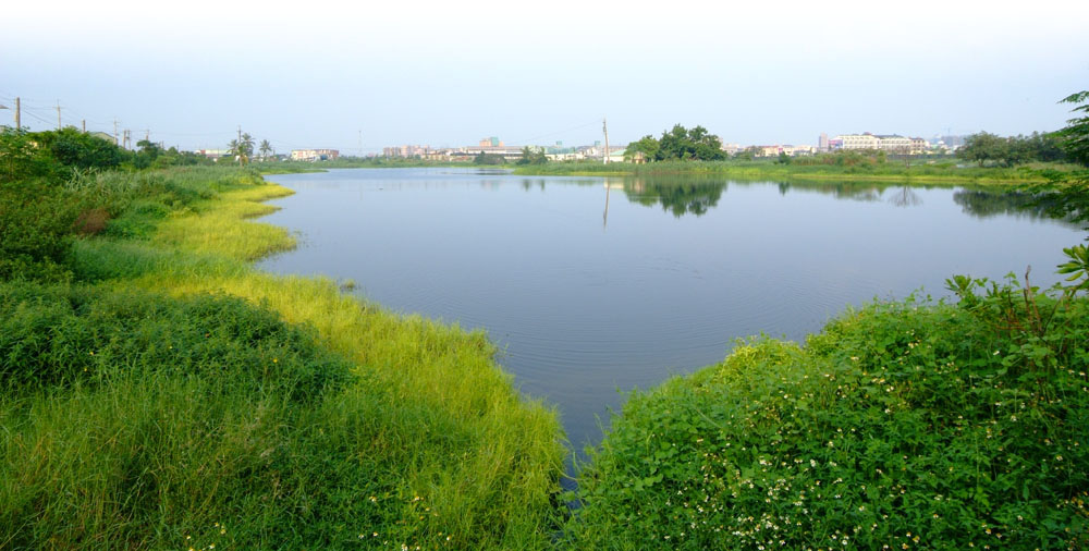援中港濕地公園有豐富的自然生態。（圖/高雄市政府工務局養護工程處 提供）