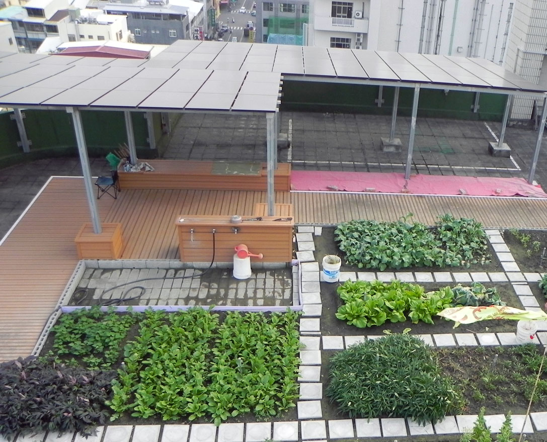 屋頂綠化能有效減少室內溫度、緩解城市的熱島效應。(圖/廖順福 攝）