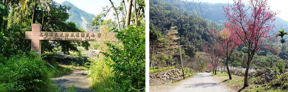 左圖：2009年時，莫拉克風災曾讓那瑪夏民權國小近乎全毀。（林浩然·攝影）右圖：通往民權國小的主要道路，每逢2月正值花開的時節，相當美麗。（林浩然·攝影）