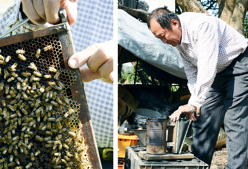 左：自製有殺菌效果的蒜頭醋替蜜蜂補充營養。右：將木塊點燃放入燻煙器，以煙燻驅趕蜜蜂。（方子齊·攝影）