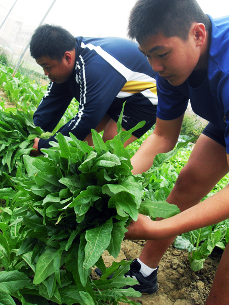 在師長的帶領下，仁武高中體育班學生從耕種中得到了面對未來的力量。(圖/宗大筠攝)