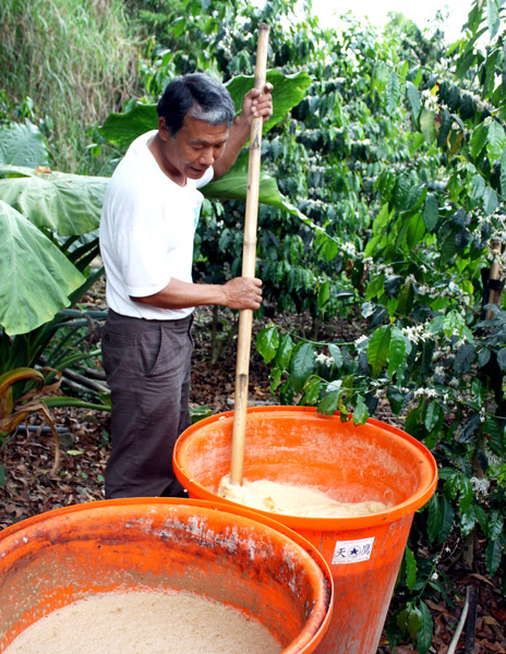 自行研發的有機液態肥是好品質咖啡豆的關鍵。（圖/涂毓婷）