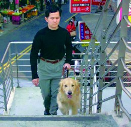 高雄市是全國第一個導盲犬友善城市，未來將有更多感人的可魯故事在高雄上演。