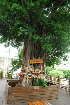 武德殿外的祈願樹掛滿了木牌，日本味十足。(圖/郭文君攝)
