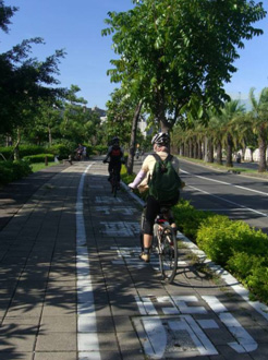 市民順著同盟路上的自行車專用道踩著單車，緩慢而行，感受樂活時光。(圖/樺航攝)
