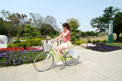 比台北市更早推出公共自行車的高雄市，將是cycling island的起點。(圖/黃昱貴攝)