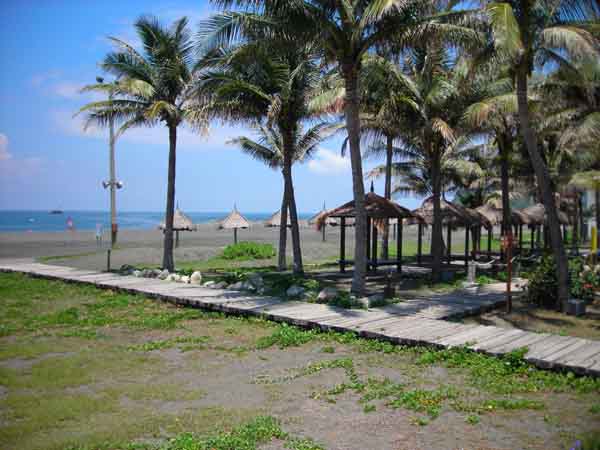 西子灣海岸景觀改造之後，沙灘上的椰林會愈來愈多，將成為台灣的邁阿密。(攝影/郭文君)