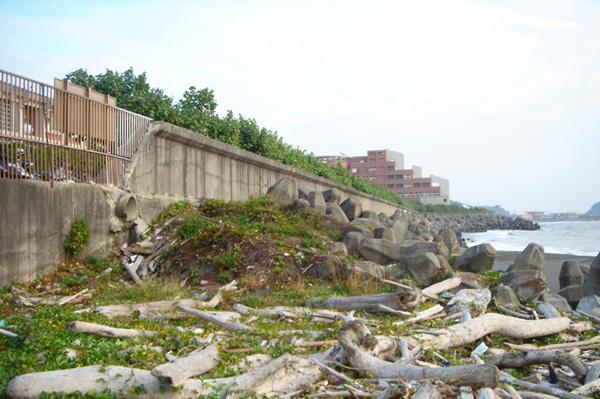 西子灣改造前的沙灘上，流木及消波塊橫陳，嚴重破壞自然生態景觀。（圖/高雄市政府工務局下水道工程處提供）