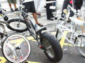 國慶嘉年華活動的健康素求，吸引了許多改裝酷炫的自行車共騎。（圖/郭力睿攝）